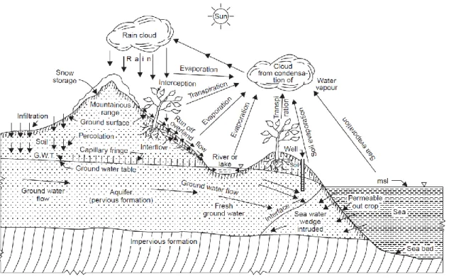 Figura 1: El ciclo hidrológico. 