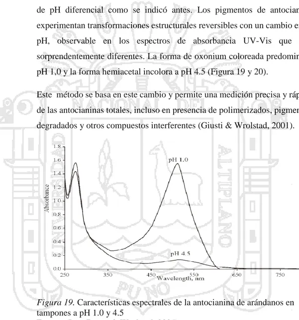 Figura 19. Características espectrales de la antocianina de arándanos en  tampones a pH 1.0 y 4.5 