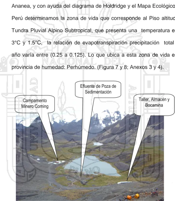 Figura  7.  Zona  de  vida  tundra  pluvial  Alpino  Subtropical  (tp-AS)  del  Bofedal Hidromórfico altoandino- Cunuyo 2013