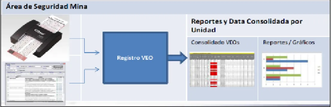 Figura 5. Proceso Registro VEO  Fuente: EPCM Experts 