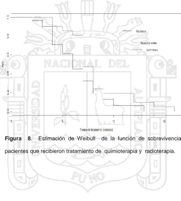 Figura    8.    Estimación  de  Weibull    de  la  función  de  sobrevivencia  para  pacientes que recibieron tratamiento de  quimioterapia y  radioterapia