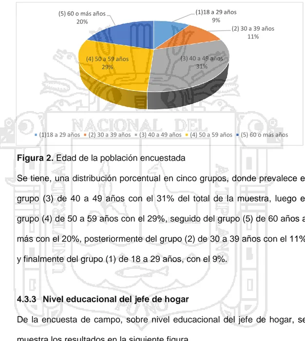 Figura 2. Edad de la población encuestada 