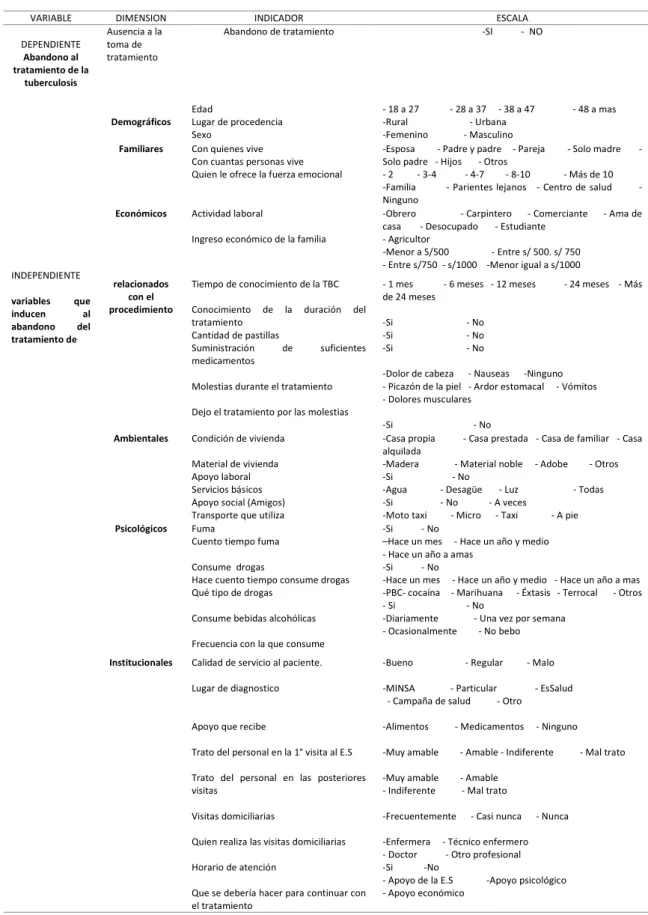 Tabla 1: Descripción de las variables recogidas de los pacientes con tuberculosis -  Red de Salud Puno