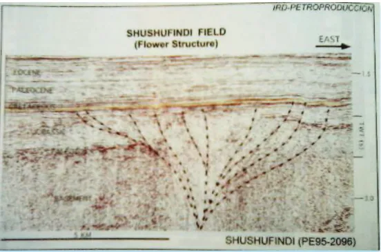 Figura 1.2.  Sección sísmica Sacha- Shushufindi 