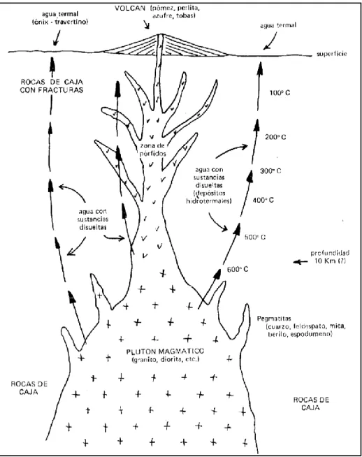 Figura  N°    11:  Esquema  del  origen  de  mineralizaciones  magmáticas  e  hidrotermales
