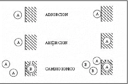 Figura 8: Procesos de adsorción, absorción e intercambio iónico. 