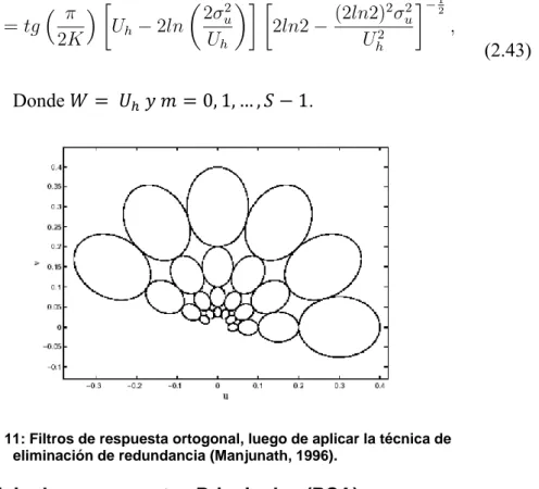Figura 11: Filtros de respuesta ortogonal, luego de aplicar la técnica de  eliminación de redundancia (Manjunath, 1996).