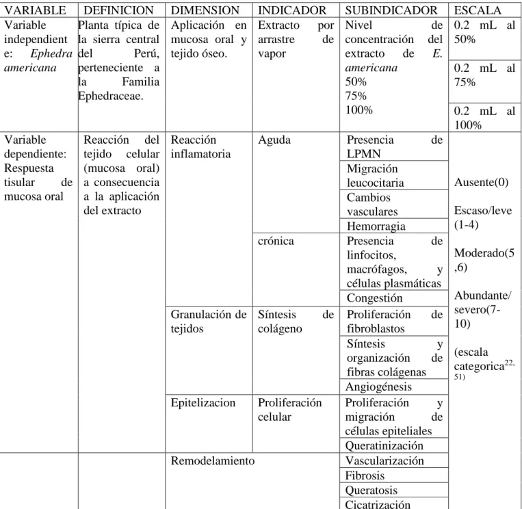 Cuadro 1. Operacionalización de variables