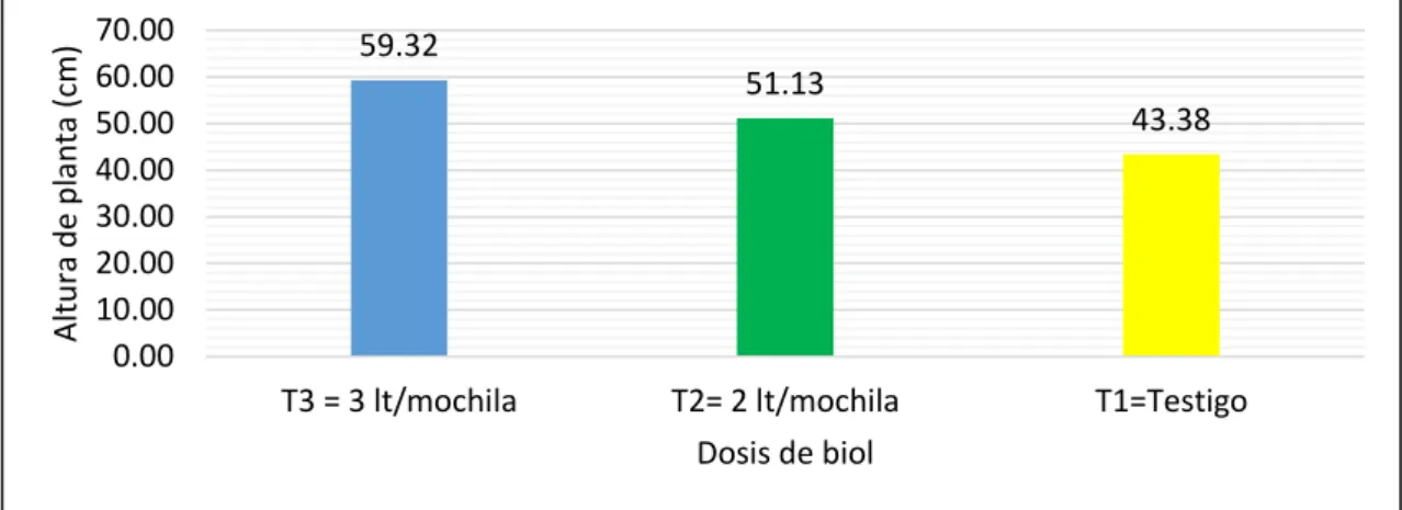 Tabla 15. Análisis de varianza para altura de planta a los 90 días de evaluación  en cultivo de cebolla