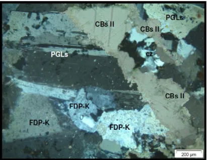Figura  18:  Cristales  maclados  de  plagioclasas  asociados  con  feldespato  K  y  cuarzo  intersticial