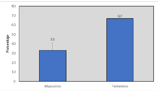 Gráfico 2: Comercio informal, según sexo Fuente: Elaboración propia. 