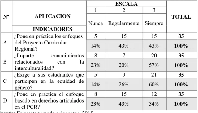 Figura 5: Aplicación de los enfoques del Proyecto Curricular Regional