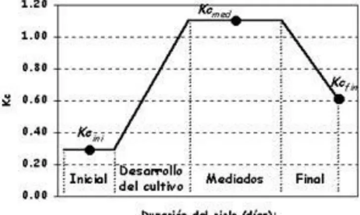 Figura 7: Curva típica de coeficiente de cultivo en duración en ciclos. 