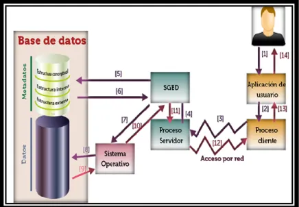 Figura 2: Funcionamiento del (SGBD) 