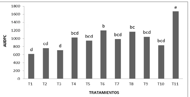 Figura  18.  Área  bajo  la  curva  del  progreso  de  la  enfermedad  (AUDPC)  del  mildiu  (Peronospora variabilis Gäum.) de la quinua (Chenopodium quinoa Willd.) var