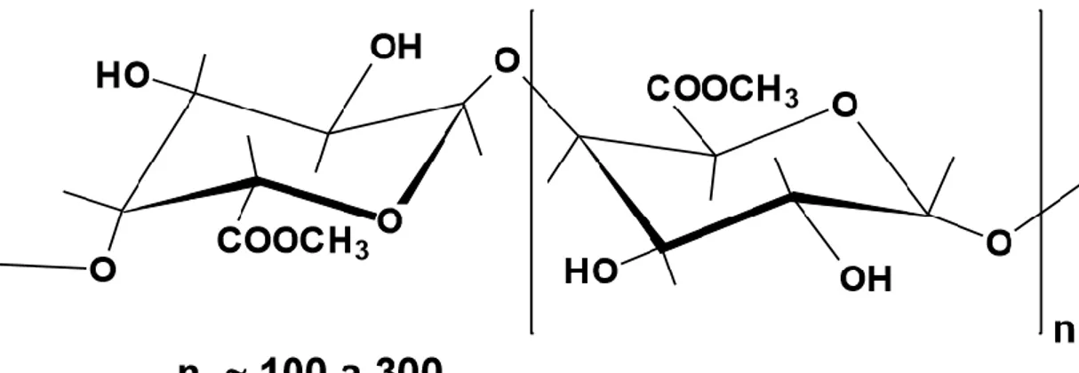 Figura  6. Cadenas de ácidos D-galacturónicos por enlaces (1-4) 
