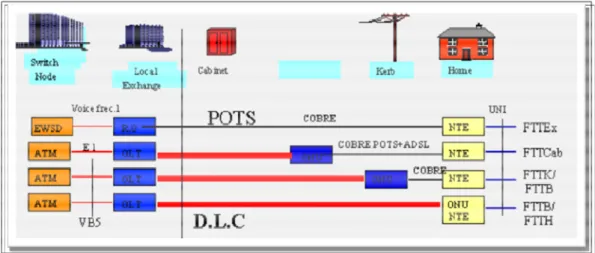 Gráfico 1.7: Esquema general de red DLC, con servicios asociados 14