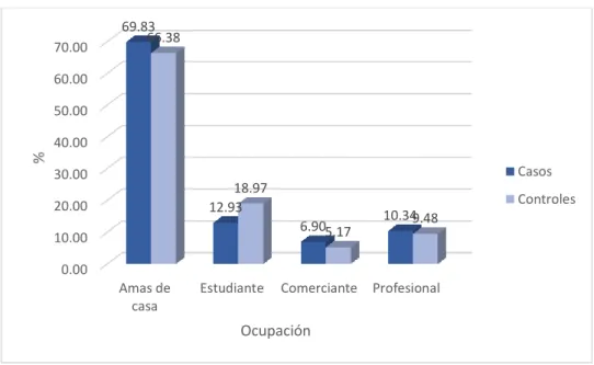 Gráfico  5:  Distribución  de  gestantes  según  ocupación  atendidas  el  HRMNB   periodo enero - diciembre 2017