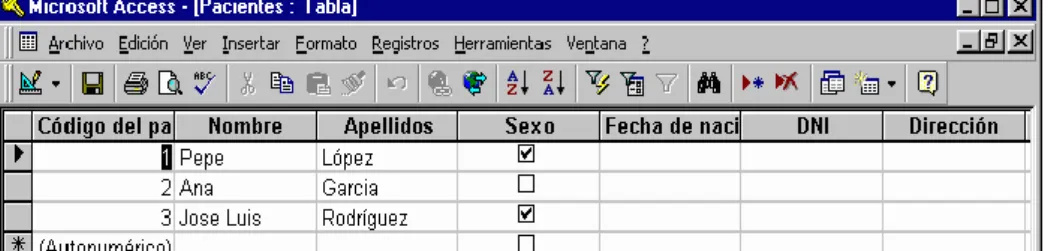 Figura N° 7: Pantalla de una base de datos 
