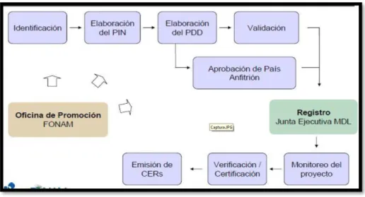 Figura 2 Etapas del ciclo MDL 