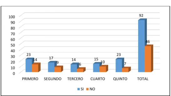 GRÁFICO N° 11 