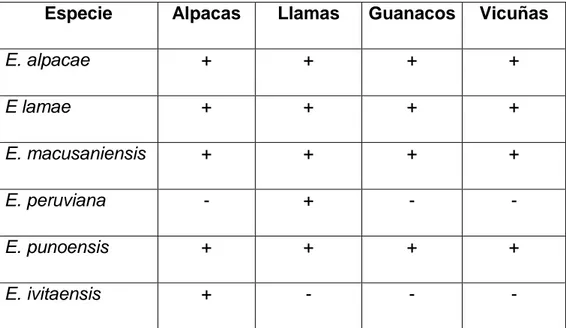 Tabla 1.Eimerias notificadas en camélidos sudamericanos. 