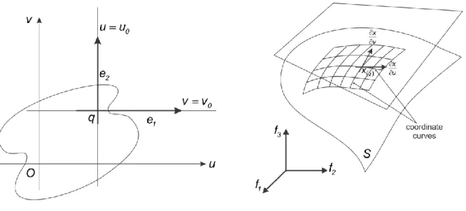 Figura  2.1:  Curvas  coordenadas 