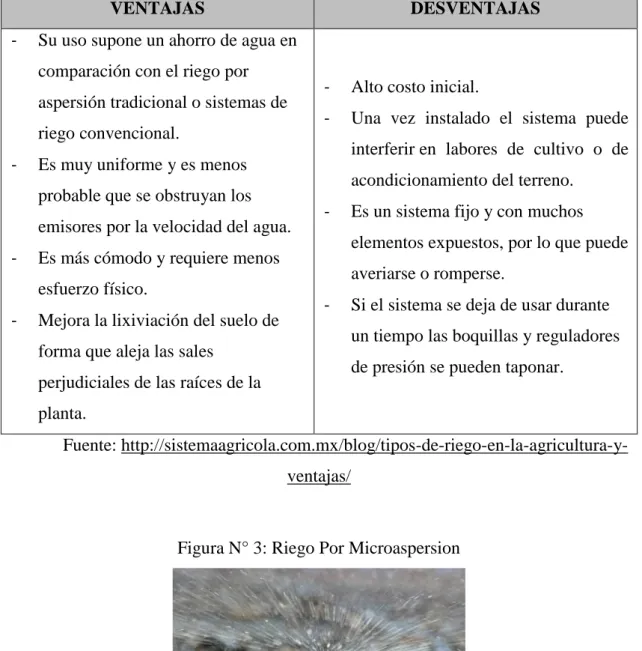 Tabla N° 3: Ventajas y desventajas riego por microaspersion 