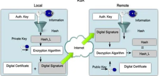Figura 20: RSA 