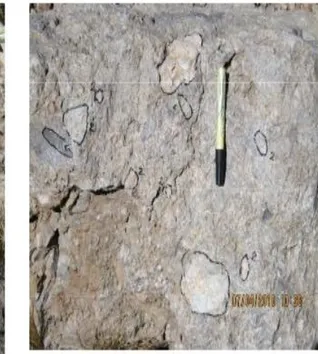 FIGURA 10: Brecha de pórfido; se nota varios fragmentos de roca  sedimentaria, matriz de sílice y hematita (Dep