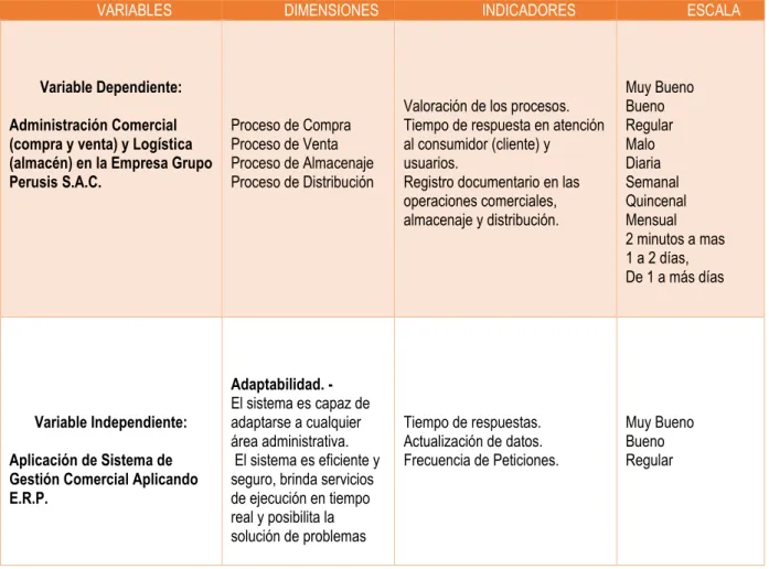 Tabla 2: Operacionalización de variables 