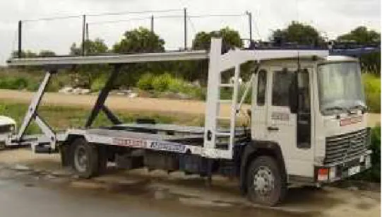 Figura 1-11: Autocargable  Tipo Niñera 