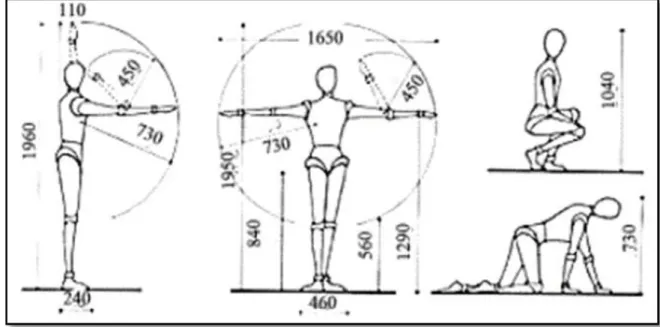 FIGURA 44: ANTROPOMETRÍA 