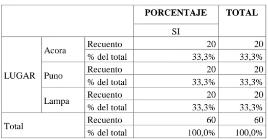 GRÁFICO N° 09 