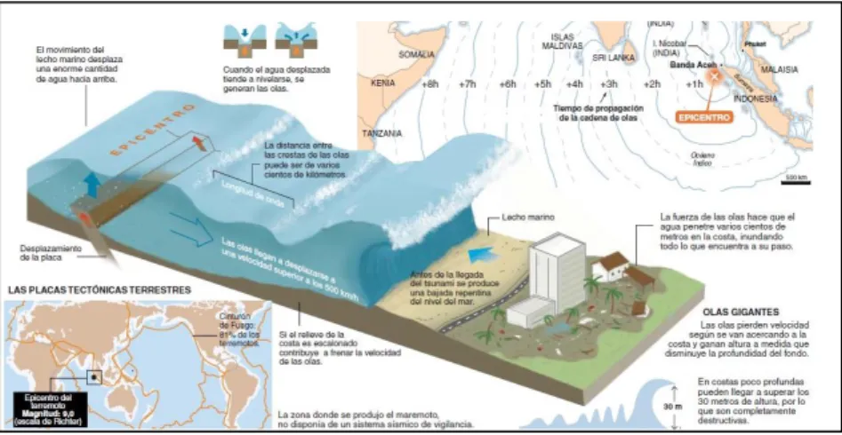 FIGURA N° 03: Fases de la generación de un tsunami y su llegada. 