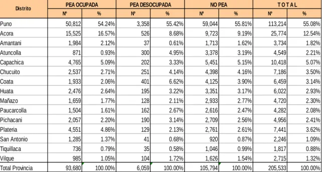 CUADRO Nº 17  PEA provincial de puno según distrito 