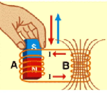 Figura 1.6. Inducción magnética producida por un imán en una bobina   11