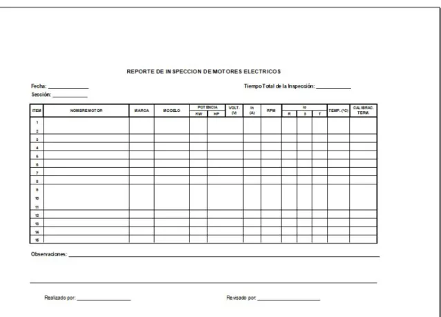 Figura 14. Formato de inspección de motores 