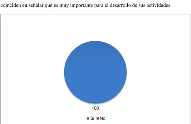 Figura 12. Importancia de  la responsabilidad  social  empresarial,  e laboración propia en base a  los resultados obtenidos 