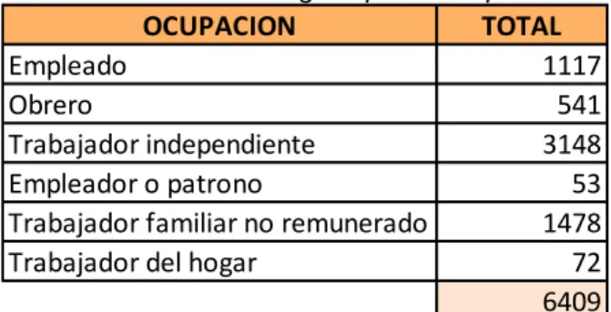 Tabla 8: Población según tipo de ocupación. 