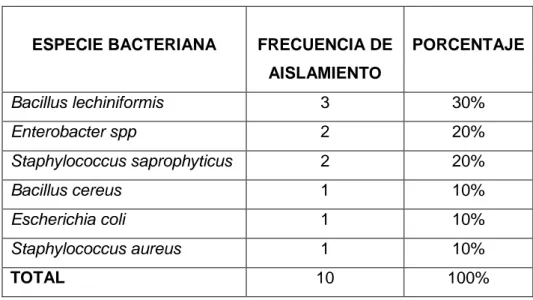 Tabla 2. Frecuencia de aislamiento de especies bacterianas aisladas  a partir de lavados uterinos de alpacas tuis