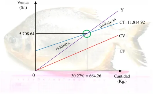 Figura 11: Punto de equilibrio del productor Palmer P. Velásquez 