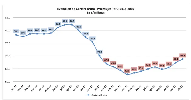 Gráfico  1 Evolución de Cartera Bruta  Pro Mujer Perú 2014 - 2015 