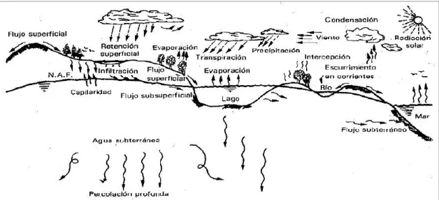 Figura 4: Ciclo Hidrológico 