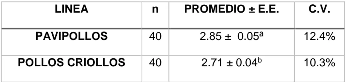 Tabla 23: niveles de proteínas totales (g/dL) según línea. 