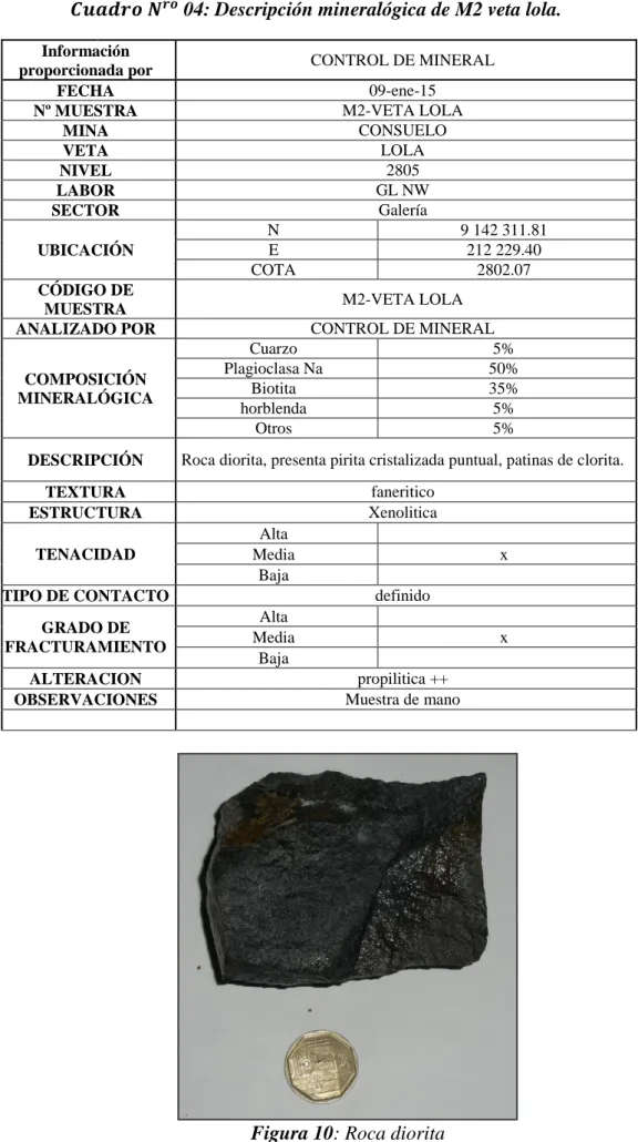 Figura 10: Roca diorita 