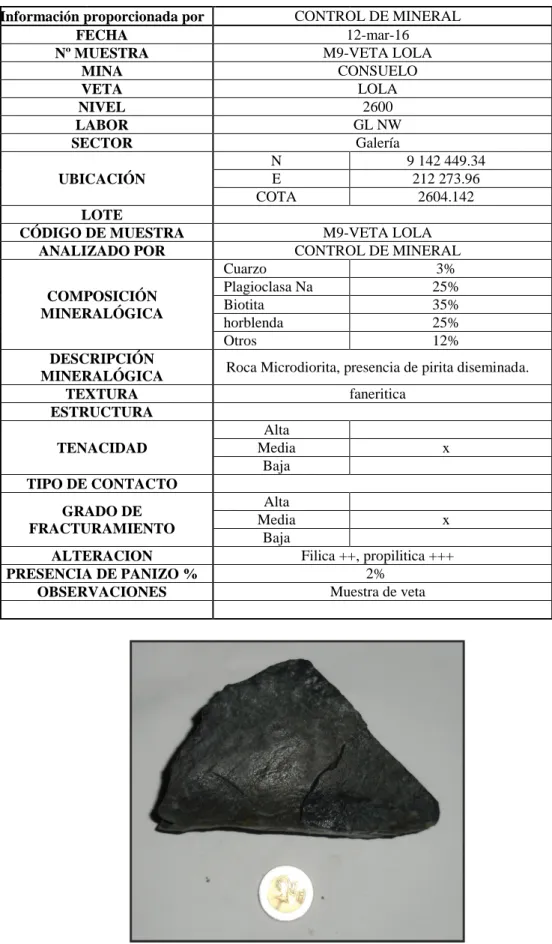 Figura 13: Roca microdiorita. 