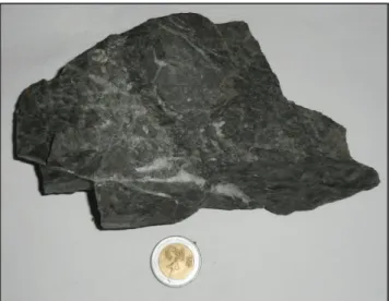 Fig. 15. Roca metavolcánico. 
