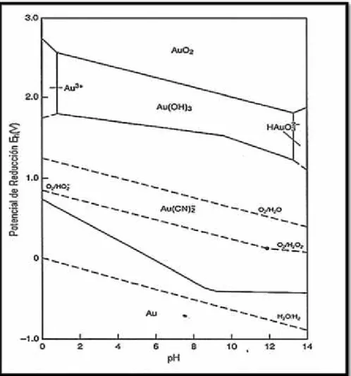 Figura 1. Diagrama de equilibrio potencial Eh-pH para el sistema Au – H 2 O – CN- a 25 ºC