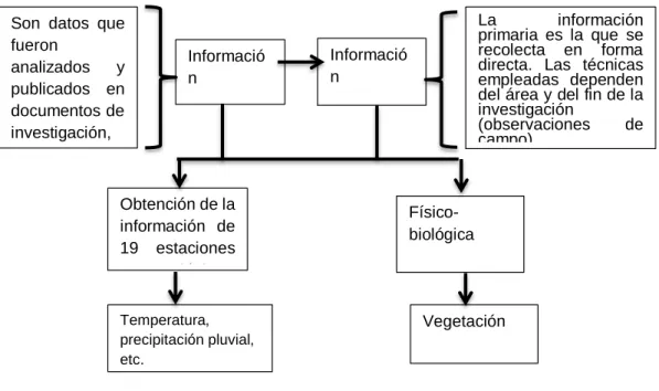 Figura 2: Esquema de recopilación de la información 